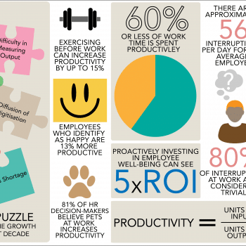 Productivity Puzzle